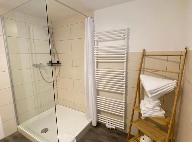 Kleinod Sayn 本多夫